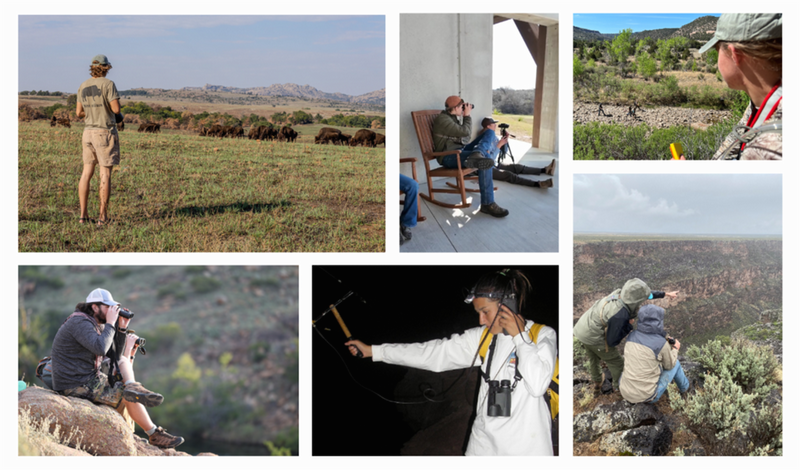 Wildlife 50th Anniversary